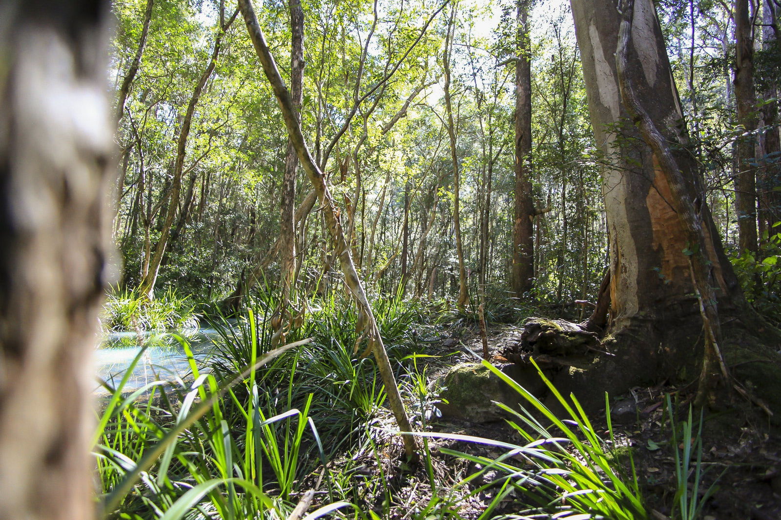 Herons Creek NSW Broome Tourism