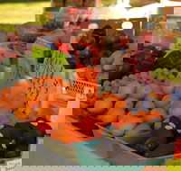 Centenary Park Charity Markets - Broome Tourism