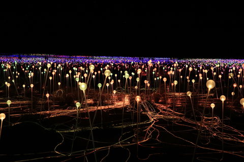 Field Of Light Uluru - Broome Tourism 1