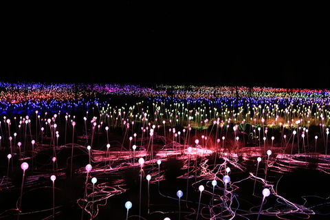 Field Of Light Uluru - Broome Tourism 2