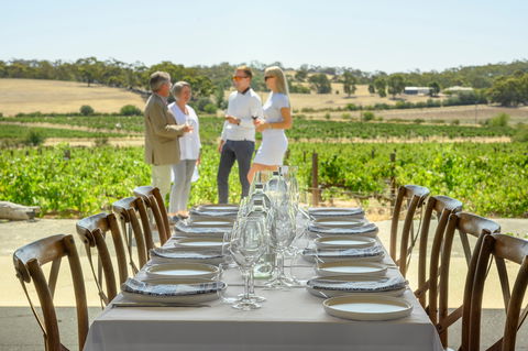 Four Seasons In The Armagh Vineyard - Broome Tourism 5