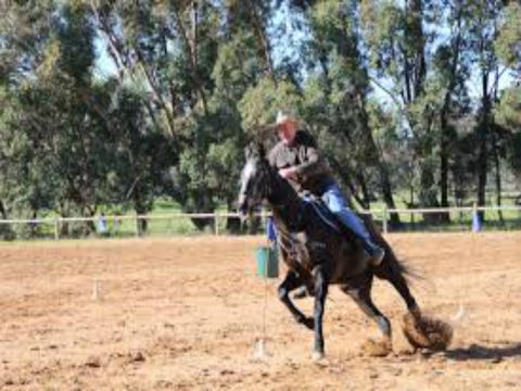 Glen William Gymkhana - Broome Tourism 1