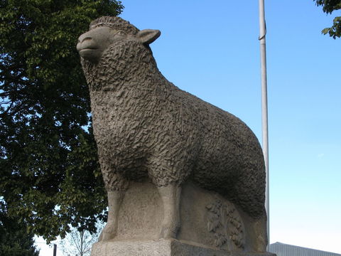 Guyra Lamb And Potato Festival - Broome Tourism 0