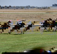 Jerilderie Gold Cup Races - Broome Tourism