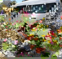 Johns River Country Markets - Broome Tourism