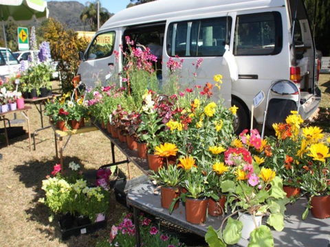 Johns River Country Markets - Broome Tourism 0