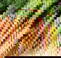 Joondalup Growers Market - Broome Tourism