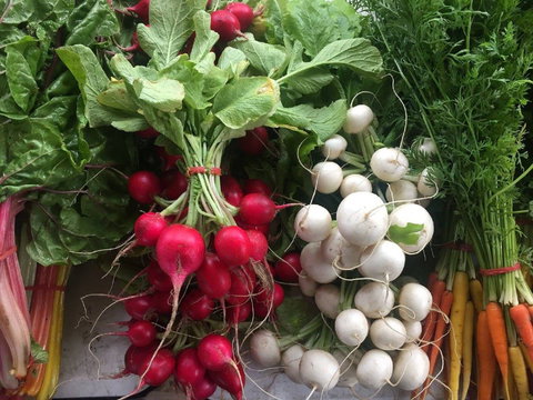 Joondalup Growers Market - Broome Tourism 1