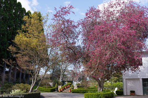 Leura Gardens Festival - Cancelled - Broome Tourism 0