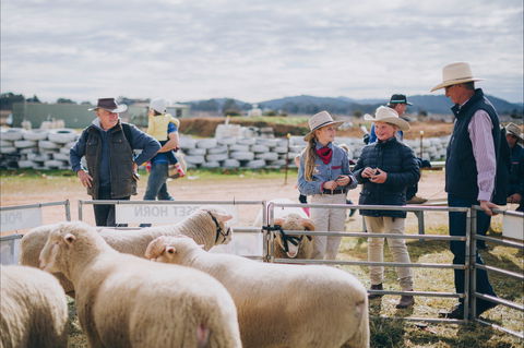 Mudgee Small Farm Field Days - Broome Tourism 0