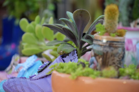 QCWA Sunday Markets Charters Towers - Broome Tourism 2