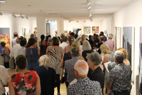 'Redland Art Awards 2020' Exhibition Opening - Broome Tourism 0