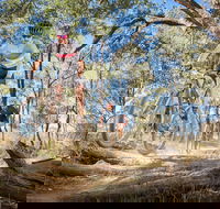 Shimano Mountain Bike Grand Prix  Logan - Broome Tourism