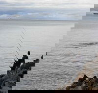 Whale Watching in Portland - Broome Tourism
