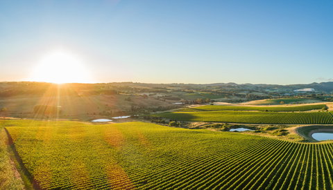 Wine And Food At Altitude - Broome Tourism 0