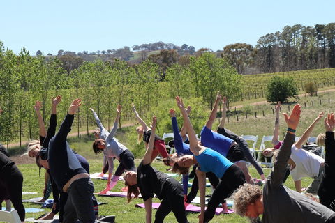 Yoga In The Vines - Broome Tourism 0