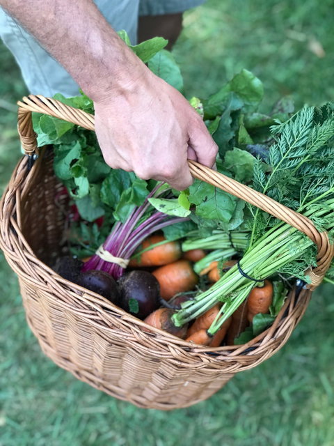 Orange Farmers Market - Broome Tourism 0