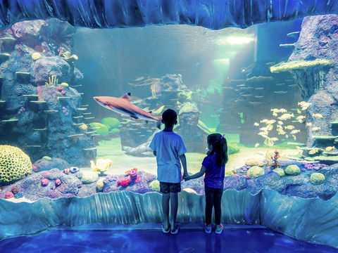 Sydney's Aquarium - Broome Tourism 1