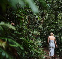 Daintree Ecolodge - Broome Tourism
