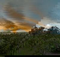 Ocean International - Broome Tourism
