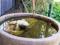Hope Cottage Country Retreat - Broome Tourism 4