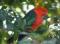 Hope Cottage Country Retreat - Broome Tourism 2