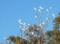 Hope Cottage Country Retreat - Broome Tourism 1