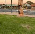 Lake Albert Motel - Broome Tourism