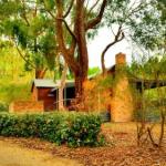 Deans Marsh VIC Broome Tourism