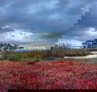 Saintys Creek Cottage - Broome Tourism