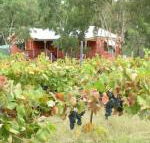 Fergies Hill Spa Cottage at Granite Ridge Wines - Broome Tourism