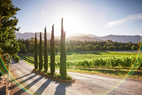 Feathertop Winery - Broome Tourism 5