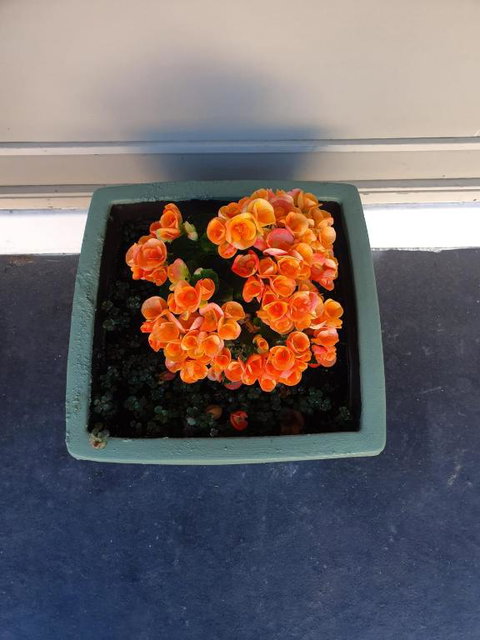 Parkside Motel Morwell - Broome Tourism 6