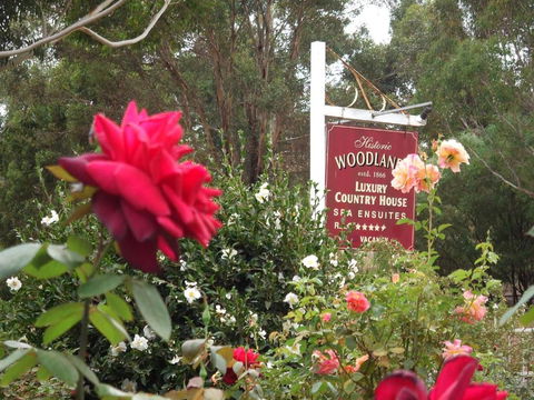 Woodlands Of Bridgetown B & B - Broome Tourism 5