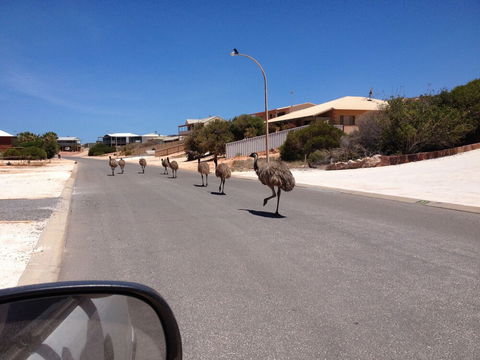 Shark Bay B & B - Broome Tourism 6