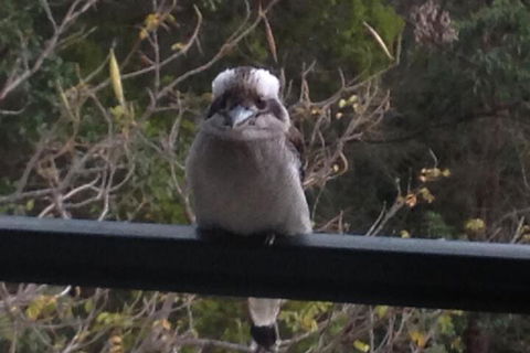 Maleny Country Cottages - Broome Tourism 6