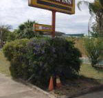 Golden West Motor Inn - Broome Tourism