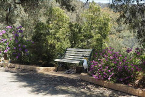 Wild Cherry Bed & Breakfast - Broome Tourism 3