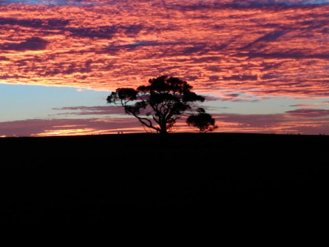 Heartland Hideaway - Broome Tourism 3