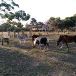 Heartland Hideaway - Broome Tourism 0