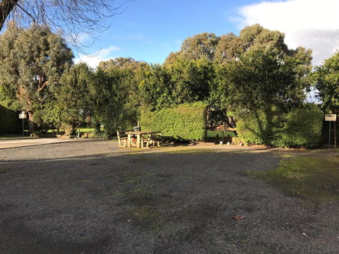 Pinewood Caravan Park - Broome Tourism 1