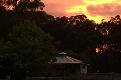 Ionaforest Yurt & Shepherds Hut - Broome Tourism 4