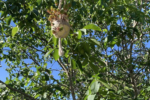 Sweet Dreams Retreat At Lara - Broome Tourism 7