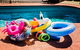 Echuca Moama Holiday Accommodation 2 - thumb 5