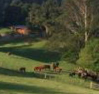 Amaroo Valley Springs - Broome Tourism