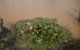 Riverdowns Cottage - thumb 1