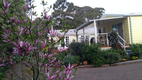 The Best Exotic Magnolia Cottage - Broome Tourism 4