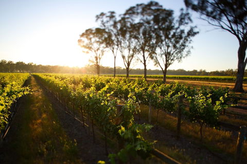 Balgownie Estate Winery Retreat & Restaurant - Broome Tourism 6