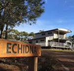 Echidna on Bruny - Broome Tourism