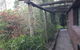 Nice House In Singleton Hunter Valley - thumb 3